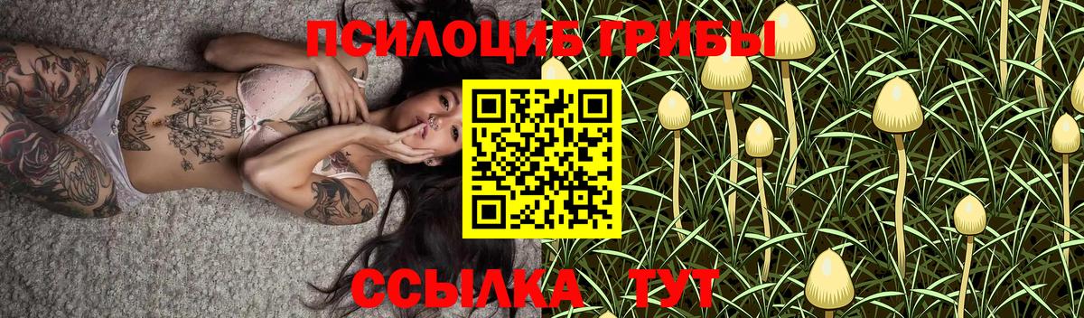 Галлюциногенные грибы мицелий  Усть-Лабинск 