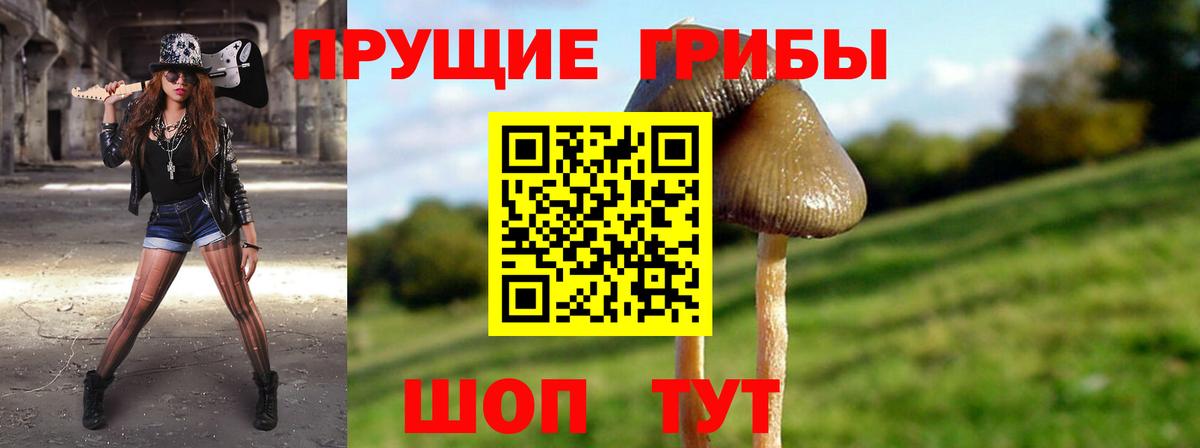 Псилоцибиновые грибы Psilocybine cubensis Усть-Лабинск