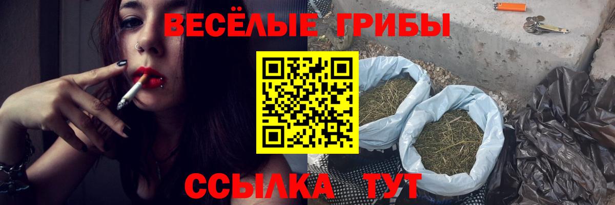Усть-Лабинск  Псилоцибиновые грибы Psilocybe  Вход с VPN 